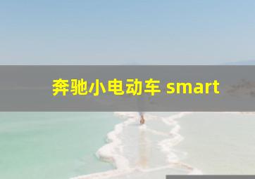 奔驰小电动车 smart